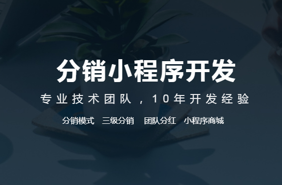 分銷(xiāo)小程序開(kāi)發(fā)多少錢(qián)